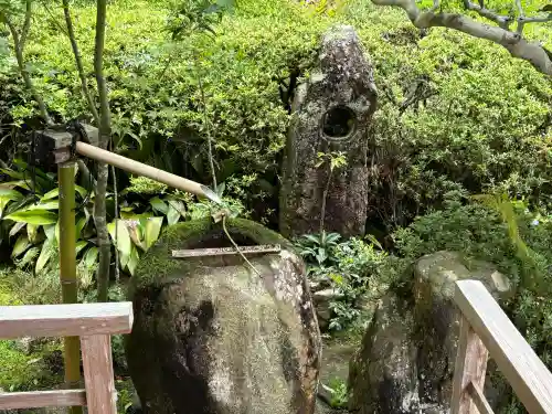 大池寺の{uncategorized: "未分類", other: "その他", undefined: "問題あり", building: "その他建物", grave: "お墓", sacred_gate: "鳥居", guardian: "狛犬", statue: "像", buddha: "仏像", history: "歴史", nature: "自然", garden: "庭園", animal: "動物", pagoda: "塔", temizu: "手水舎", mountain_gate: "山門・神門", sanctuary: "本殿・本堂", subordinate: "末社・摂社", art: "芸術", scenery: "景色", jizo: "地蔵", ema: "絵馬", goshuin: "御朱印", omikuji: "おみくじ", items: "授与品その他", amulet: "お守り", goshuincho: "御朱印帳", eats: "食事", festival: "お祭り", votive_dance: "神楽", shichigosan: "七五三参", wedding: "結婚式", experience: "体験その他", initially: "初詣", around: "周辺", anti_infection: "感染症対策"}