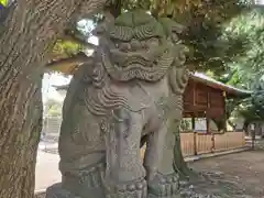 旗岡八幡神社の狛犬