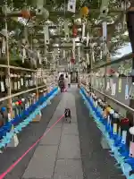 宝徳寺の{uncategorized: "未分類", other: "その他", undefined: "問題あり", building: "その他建物", grave: "お墓", sacred_gate: "鳥居", guardian: "狛犬", statue: "像", buddha: "仏像", history: "歴史", nature: "自然", garden: "庭園", animal: "動物", pagoda: "塔", temizu: "手水舎", mountain_gate: "山門・神門", sanctuary: "本殿・本堂", subordinate: "末社・摂社", art: "芸術", scenery: "景色", jizo: "地蔵", ema: "絵馬", goshuin: "御朱印", omikuji: "おみくじ", items: "授与品その他", amulet: "お守り", goshuincho: "御朱印帳", eats: "食事", festival: "お祭り", votive_dance: "神楽", shichigosan: "七五三参", wedding: "結婚式", experience: "体験その他", initially: "初詣", around: "周辺", anti_infection: "感染症対策"}