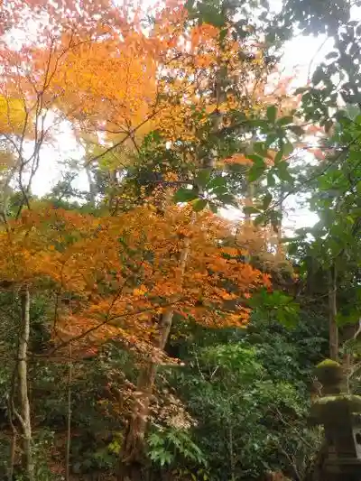 理智光寺跡(理智光寺址)<史跡>の自然