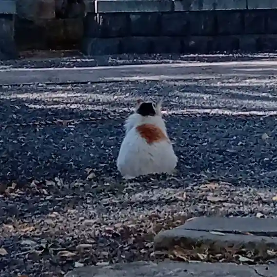 阿邪訶根神社(福島県)
