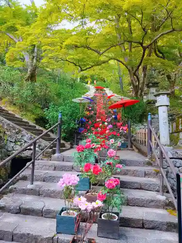 長谷寺の自然