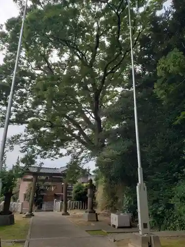 清水八幡神社のその他建物