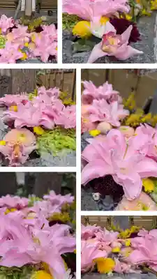 心行寺(東京都)