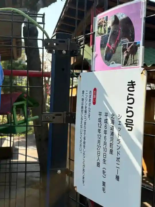 五方山熊野神社の{uncategorized: "未分類", other: "その他", undefined: "問題あり", building: "その他建物", grave: "お墓", sacred_gate: "鳥居", guardian: "狛犬", statue: "像", buddha: "仏像", history: "歴史", nature: "自然", garden: "庭園", animal: "動物", pagoda: "塔", temizu: "手水舎", mountain_gate: "山門・神門", sanctuary: "本殿・本堂", subordinate: "末社・摂社", art: "芸術", scenery: "景色", jizo: "地蔵", ema: "絵馬", goshuin: "御朱印", omikuji: "おみくじ", items: "授与品その他", amulet: "お守り", goshuincho: "御朱印帳", eats: "食事", festival: "お祭り", votive_dance: "神楽", shichigosan: "七五三参", wedding: "結婚式", experience: "体験その他", initially: "初詣", around: "周辺", anti_infection: "感染症対策"}