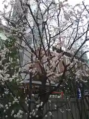 福徳神社（芽吹稲荷）(東京都)