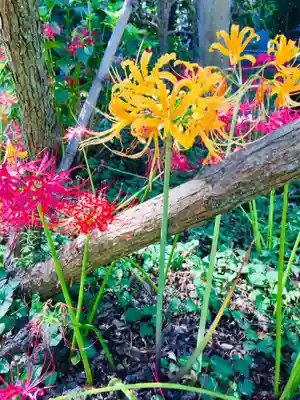 祖光院(千葉県)