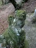 地主神社(桑の川の鳥居杉)(高知県)