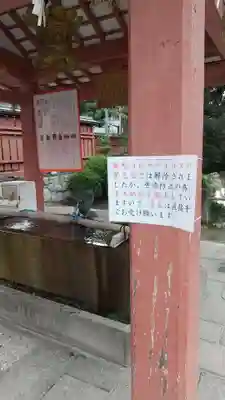 津島神社の手水舎