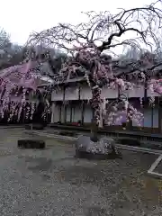 芳盛寺(神奈川県)