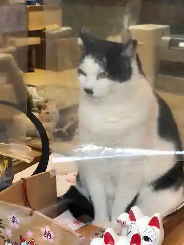 王子神社の動物