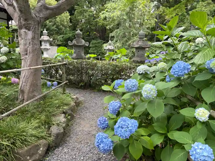 頼光寺(兵庫県)