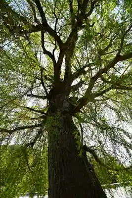 丹生酒殿神社(和歌山県)