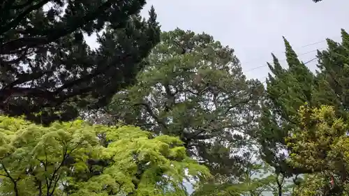 円満寺の自然
