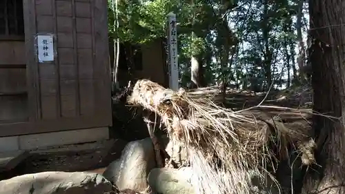 氷川女體神社(埼玉県)