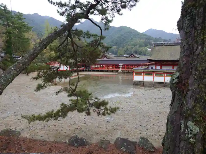 厳島神社(広島県)
