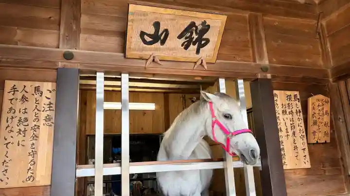 多度大社(三重県)