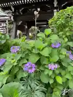 白山神社(東京都)