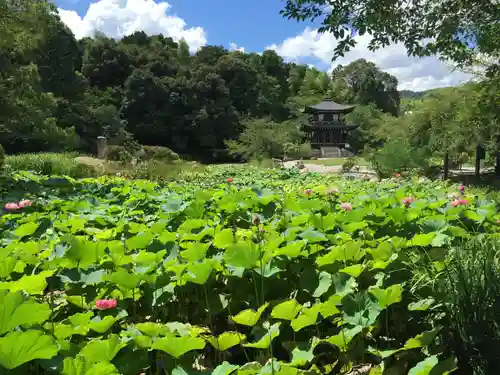 勧修寺の景色