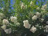 実成院(京都府)