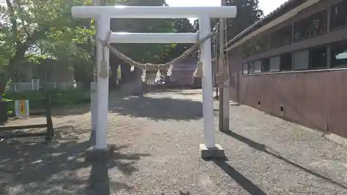 泉神社の鳥居