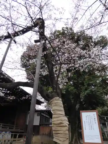 靖國神社(東京都)