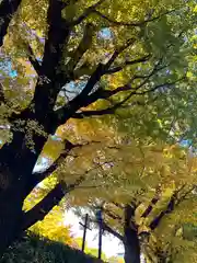 靖國神社(東京都)