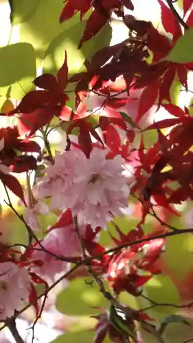 山中諏訪神社の{uncategorized: "未分類", other: "その他", undefined: "問題あり", building: "その他建物", grave: "お墓", sacred_gate: "鳥居", guardian: "狛犬", statue: "像", buddha: "仏像", history: "歴史", nature: "自然", garden: "庭園", animal: "動物", pagoda: "塔", temizu: "手水舎", mountain_gate: "山門・神門", sanctuary: "本殿・本堂", subordinate: "末社・摂社", art: "芸術", scenery: "景色", jizo: "地蔵", ema: "絵馬", goshuin: "御朱印", omikuji: "おみくじ", items: "授与品その他", amulet: "お守り", goshuincho: "御朱印帳", eats: "食事", festival: "お祭り", votive_dance: "神楽", shichigosan: "七五三参", wedding: "結婚式", experience: "体験その他", initially: "初詣", around: "周辺", anti_infection: "感染症対策"}