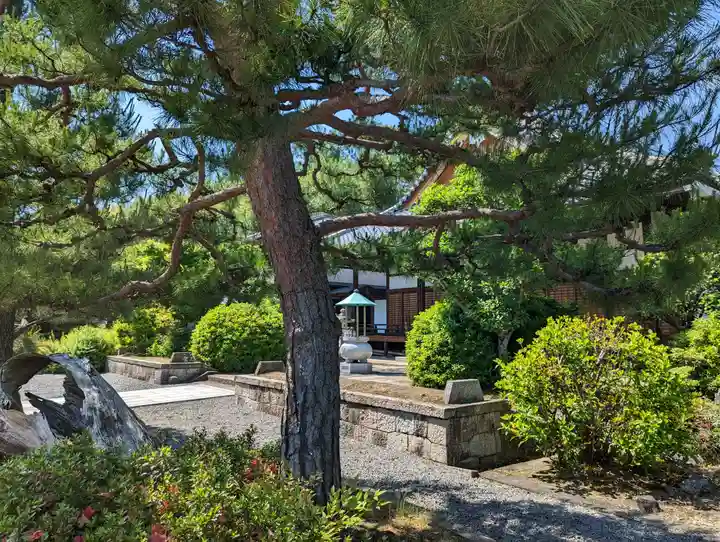 大善寺(京都府)