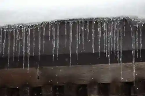 磐椅神社の自然