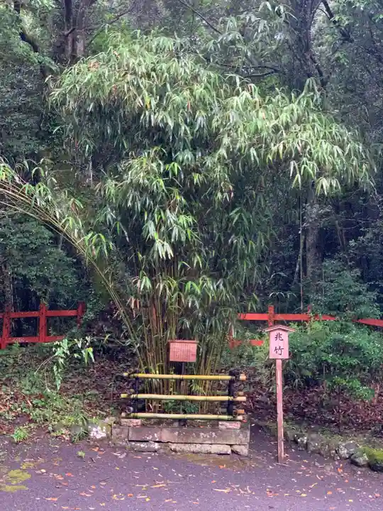 宇佐神宮の庭園
