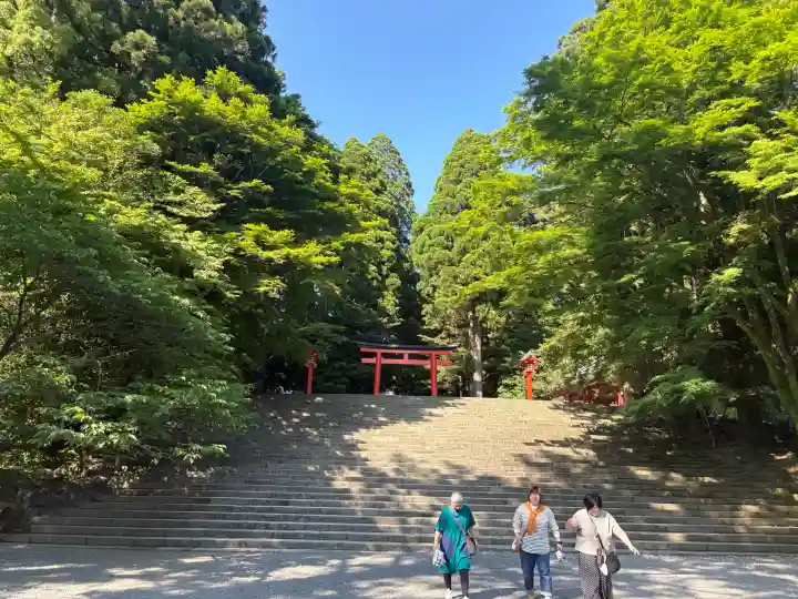 霧島神宮の{uncategorized: "未分類", other: "その他", undefined: "問題あり", building: "その他建物", grave: "お墓", sacred_gate: "鳥居", guardian: "狛犬", statue: "像", buddha: "仏像", history: "歴史", nature: "自然", garden: "庭園", animal: "動物", pagoda: "塔", temizu: "手水舎", mountain_gate: "山門・神門", sanctuary: "本殿・本堂", subordinate: "末社・摂社", art: "芸術", scenery: "景色", jizo: "地蔵", ema: "絵馬", goshuin: "御朱印", omikuji: "おみくじ", items: "授与品その他", amulet: "お守り", goshuincho: "御朱印帳", eats: "食事", festival: "お祭り", votive_dance: "神楽", shichigosan: "七五三参", wedding: "結婚式", experience: "体験その他", initially: "初詣", around: "周辺", anti_infection: "感染症対策"}