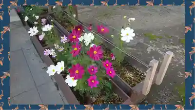 磐井神社(東京都)