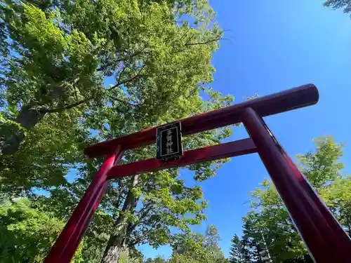 札幌護國神社の鳥居