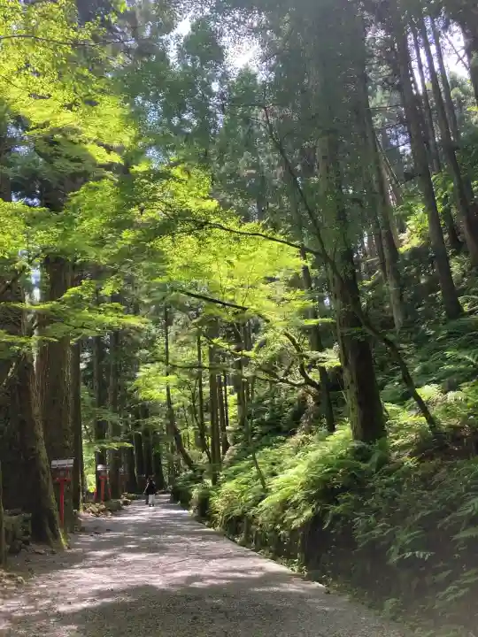 貴船神社(京都府)