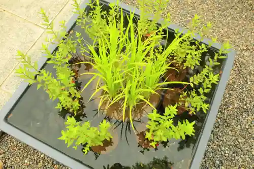 行田八幡神社(埼玉県)