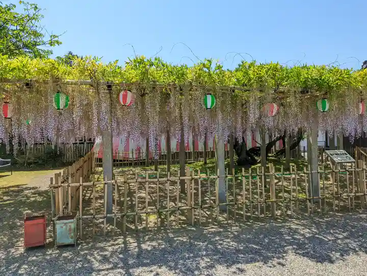 惣社神社(滋賀県)