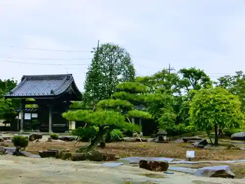 千妙寺の庭園