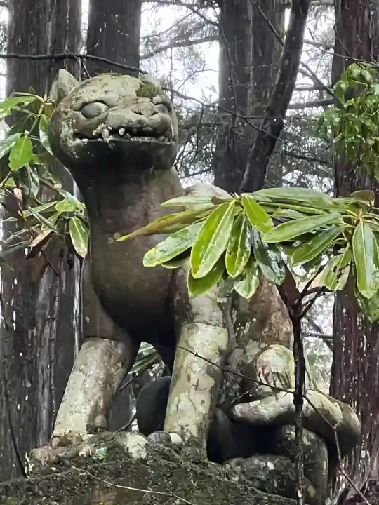 三峯神社(埼玉県)