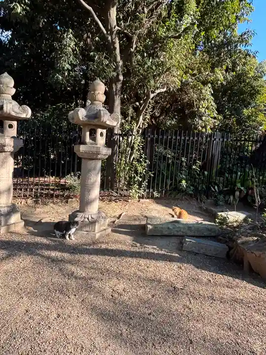 住吉大社(大阪府)