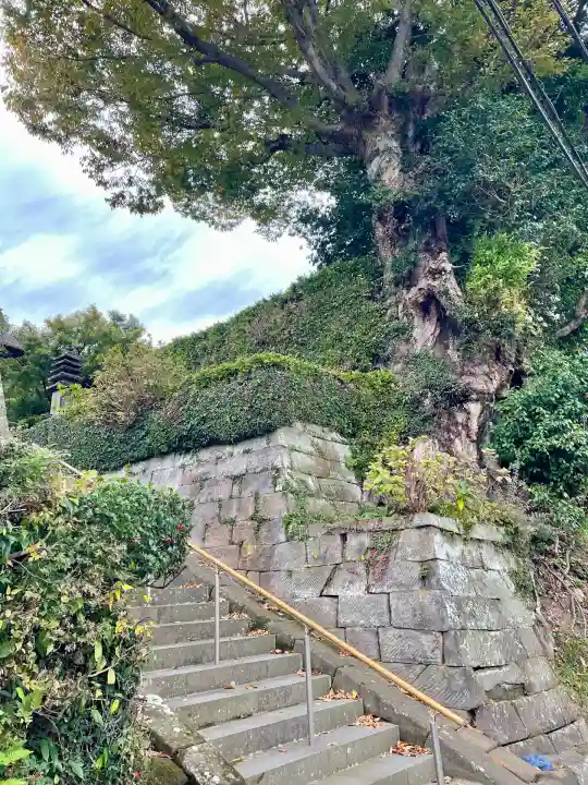 長壽寺(長寿寺)(神奈川県)