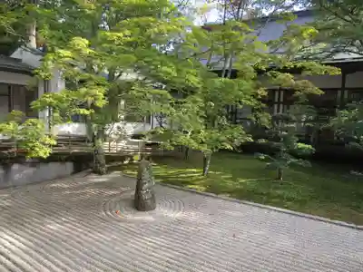 高野山真言宗総本山金剛峯寺(和歌山県)