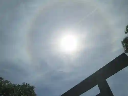 屋久島大社の自然