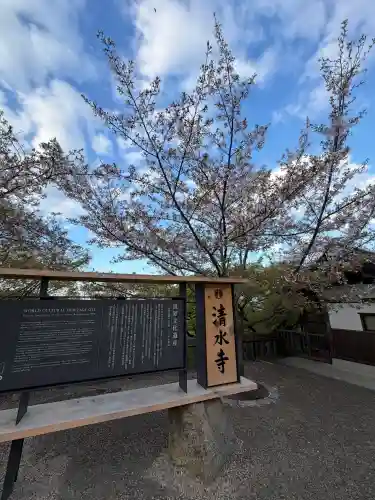 清水寺の{uncategorized: "未分類", other: "その他", undefined: "問題あり", building: "その他建物", grave: "お墓", sacred_gate: "鳥居", guardian: "狛犬", statue: "像", buddha: "仏像", history: "歴史", nature: "自然", garden: "庭園", animal: "動物", pagoda: "塔", temizu: "手水舎", mountain_gate: "山門・神門", sanctuary: "本殿・本堂", subordinate: "末社・摂社", art: "芸術", scenery: "景色", jizo: "地蔵", ema: "絵馬", goshuin: "御朱印", omikuji: "おみくじ", items: "授与品その他", amulet: "お守り", goshuincho: "御朱印帳", eats: "食事", festival: "お祭り", votive_dance: "神楽", shichigosan: "七五三参", wedding: "結婚式", experience: "体験その他", initially: "初詣", around: "周辺", anti_infection: "感染症対策"}