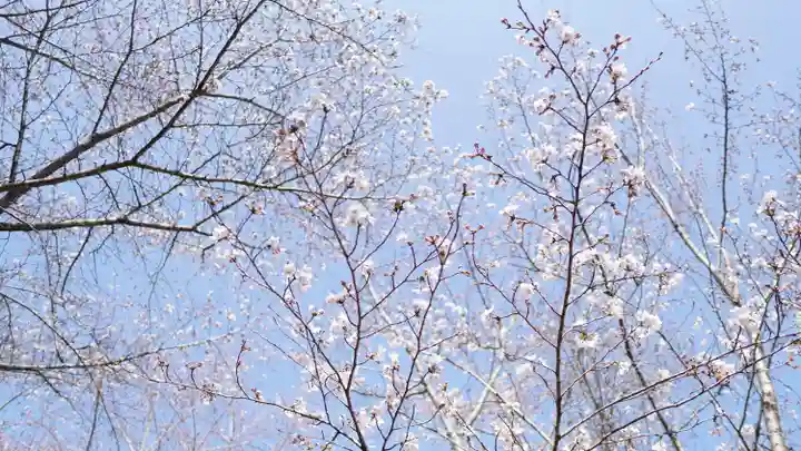 宮崎神社の自然