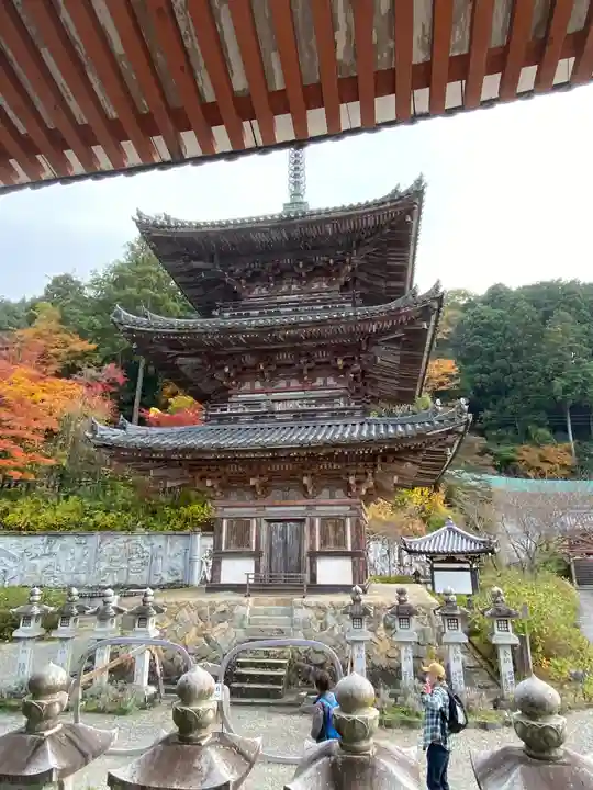 南法華寺(壷阪寺)(奈良県)