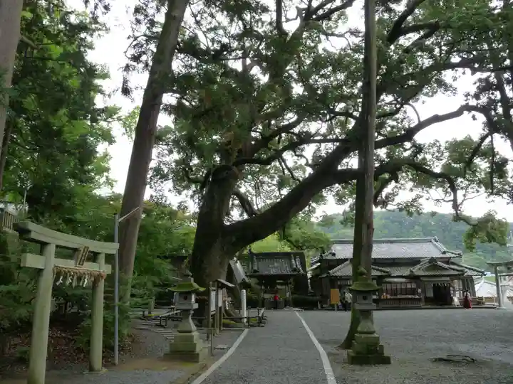 事任八幡宮のその他建物