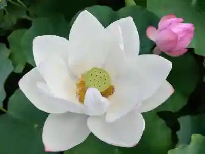 伊賀八幡宮(愛知県)