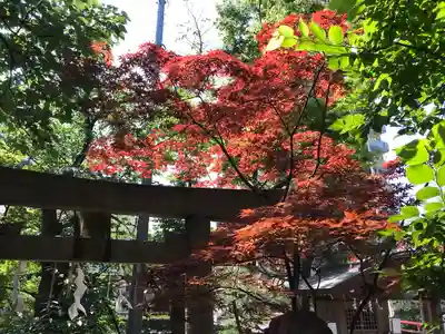 松戸神社(千葉県)