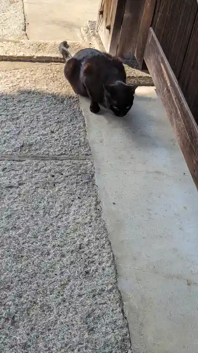 養源院(京都府)